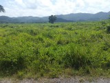 Distillery BLVD, Westmoreland, Jamaica - Residential lot for Sale